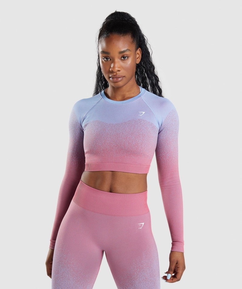 Gymshark Adapt オンブル シームレス ロングスリーブ クロップトップ ローズピンク-ライトブルー
