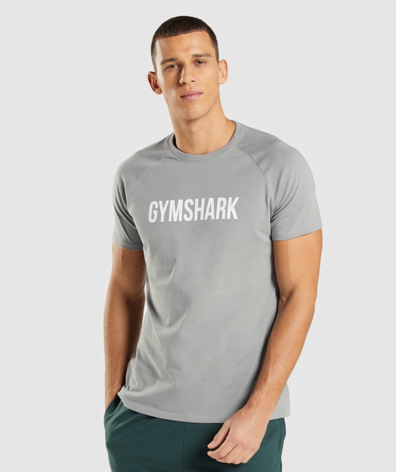 Gymshark アポロ T シャツ男性スモーキー グレー