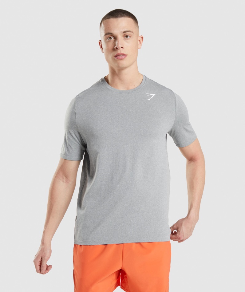 Gymshark 到着シームレス T シャツ グレー