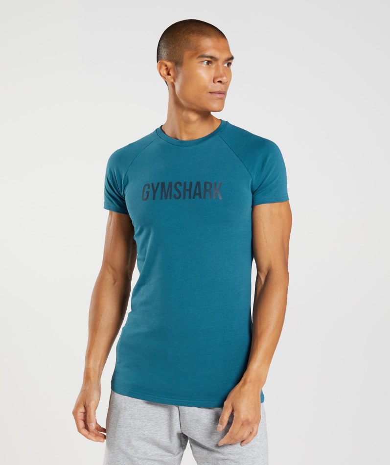 Gymshark アトランティック ブルー アポロ T シャツ